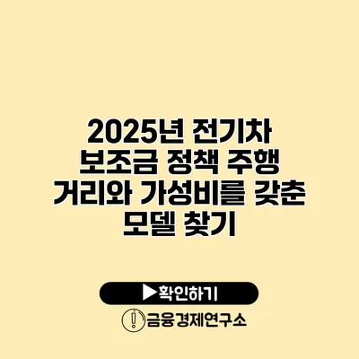 2025년 전기차 보조금 정책 주행 거리와 가성비를 갖춘 모델 찾기