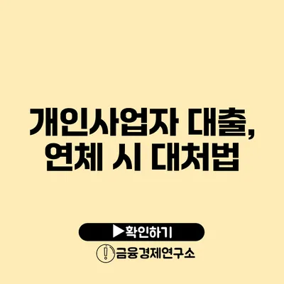 개인사업자 대출, 연체 시 대처법