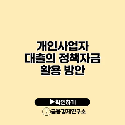 개인사업자 대출의 정책자금 활용 방안