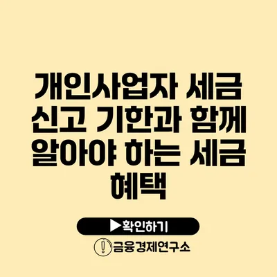 개인사업자 세금 신고 기한과 함께 알아야 하는 세금 혜택