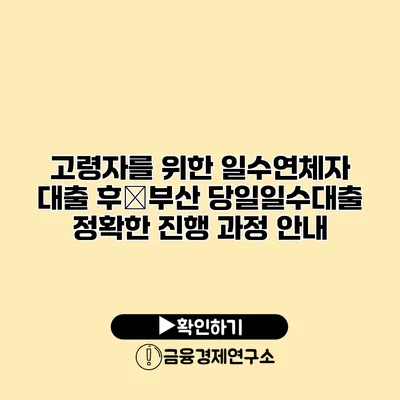고령자를 위한 일수연체자 대출 후�부산 당일일수대출 정확한 진행 과정 안내