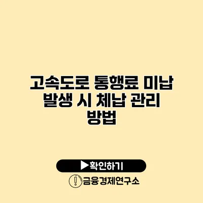 고속도로 통행료 미납 발생 시 체납 관리 방법