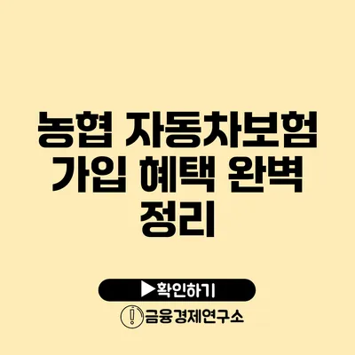 농협 자동차보험 가입 혜택 완벽 정리