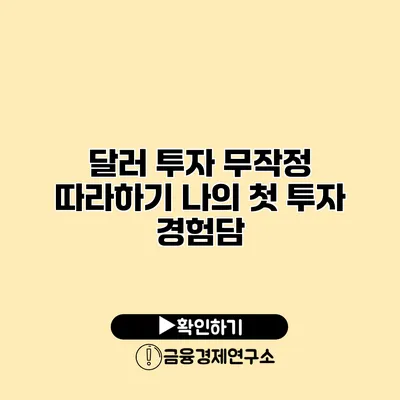 달러 투자 무작정 따라하기 나의 첫 투자 경험담