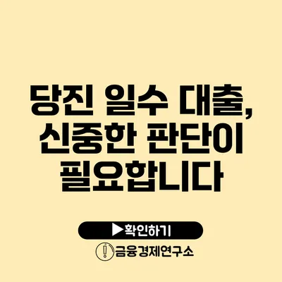 당진 일수 대출, 신중한 판단이 필요합니다