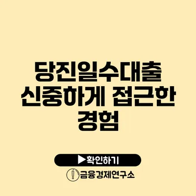 당진일수대출 신중하게 접근한 경험