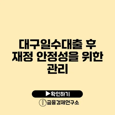 대구일수대출 후 재정 안정성을 위한 관리