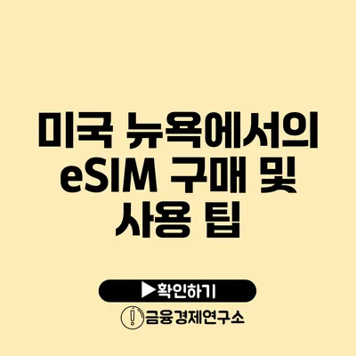 미국 뉴욕에서의 eSIM 구매 및 사용 팁