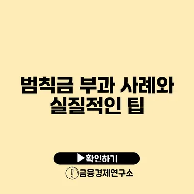 범칙금 부과 사례와 실질적인 팁