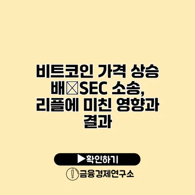 비트코인 가격 상승 배�SEC 소송, 리플에 미친 영향과 결과