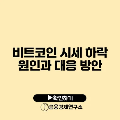 비트코인 시세 하락 원인과 대응 방안