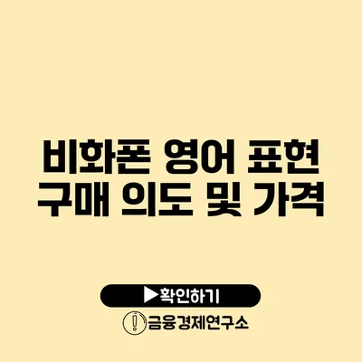 비화폰 영어 표현 구매 의도 및 가격