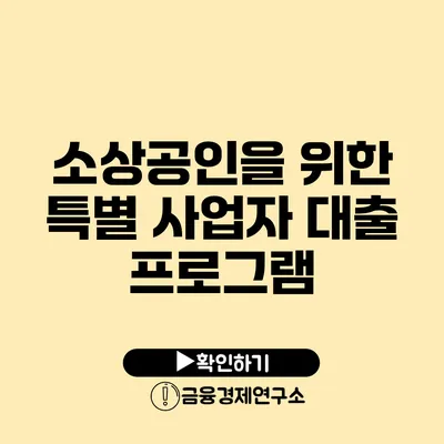 소상공인을 위한 특별 사업자 대출 프로그램