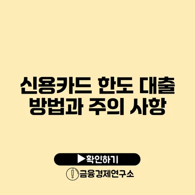 신용카드 한도 대출 방법과 주의 사항
