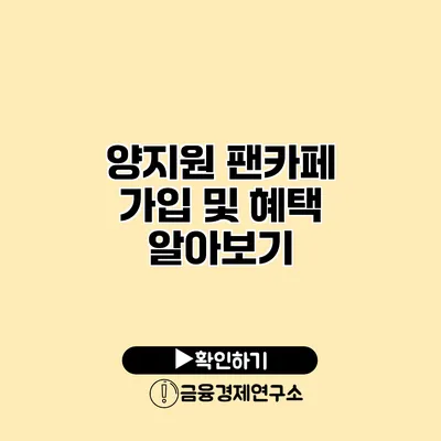 양지원 팬카페 가입 및 혜택 알아보기