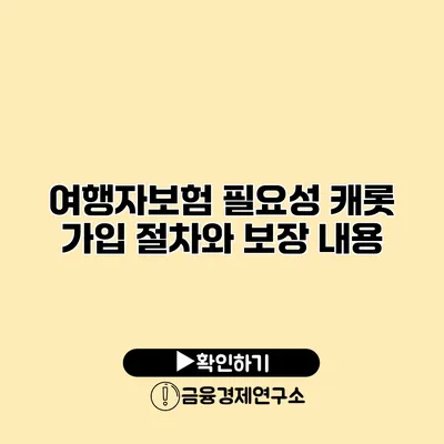 여행자보험 필요성 캐롯 가입 절차와 보장 내용