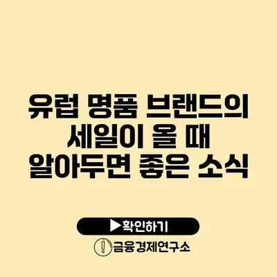 유럽 명품 브랜드의 세일이 올 때 알아두면 좋은 소식