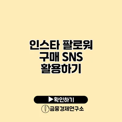 인스타 팔로워 구매 SNS 활용하기