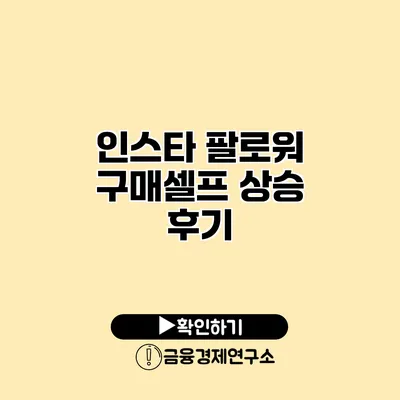 인스타 팔로워 구매셀프 상승 후기