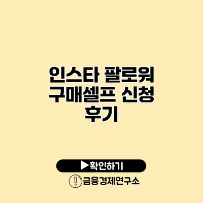 인스타 팔로워 구매셀프 신청 후기