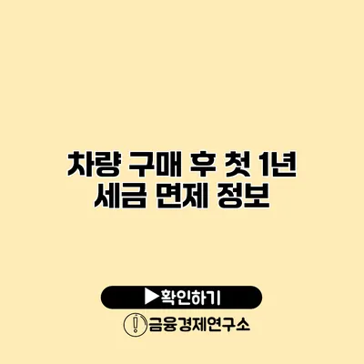 차량 구매 후 첫 1년 세금 면제 정보