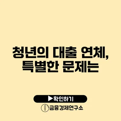 청년의 대출 연체, 특별한 문제는?