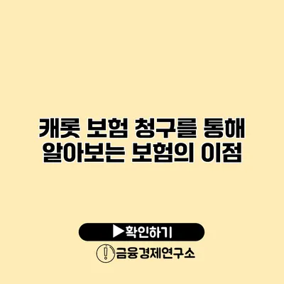 캐롯 보험 청구를 통해 알아보는 보험의 이점