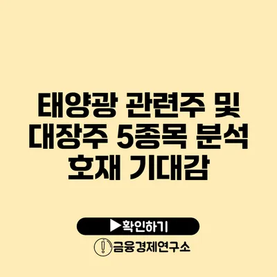 태양광 관련주 및 대장주 5종목 분석 호재 기대감?