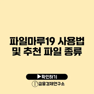 파일마루19 사용법 및 추천 파일 종류