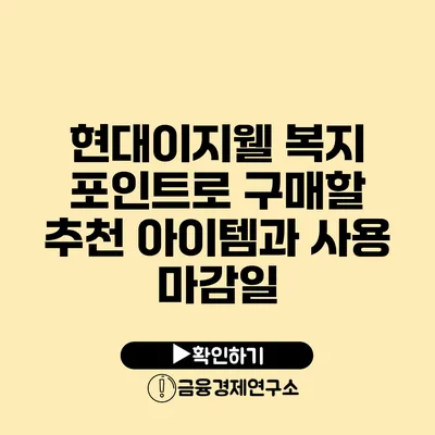 현대이지웰 복지 포인트로 구매할 추천 아이템과 사용 마감일