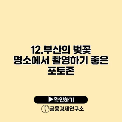 12.부산의 벚꽃 명소에서 촬영하기 좋은 포토존