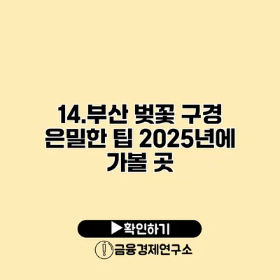 14.부산 벚꽃 구경 은밀한 팁 2025년에 가볼 곳
