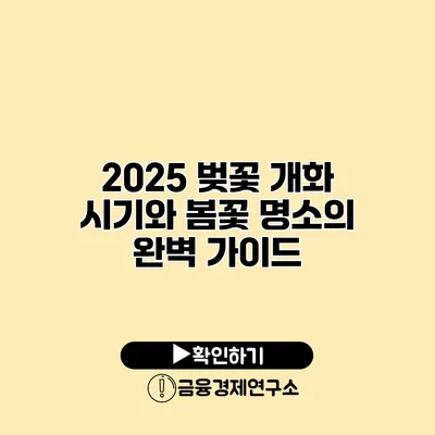 2025 벚꽃 개화 시기와 봄꽃 명소의 완벽 가이드