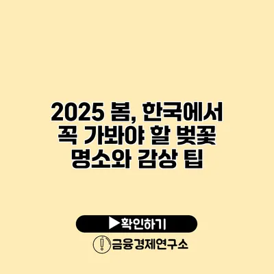 2025 봄, 한국에서 꼭 가봐야 할 벚꽃 명소와 감상 팁