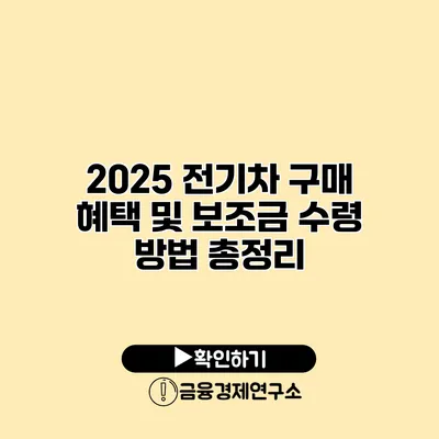 2025 전기차 구매 혜택 및 보조금 수령 방법 총정리