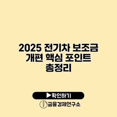 2025 전기차 보조금 개편 핵심 포인트 총정리