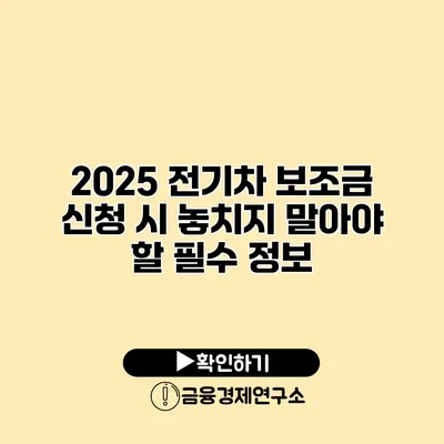 2025 전기차 보조금 신청 시 놓치지 말아야 할 필수 정보