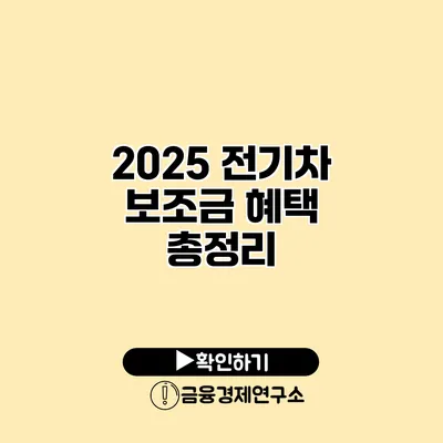 2025 전기차 보조금 혜택 총정리