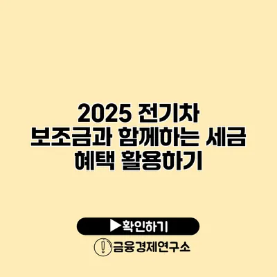 2025 전기차 보조금과 함께하는 세금 혜택 활용하기