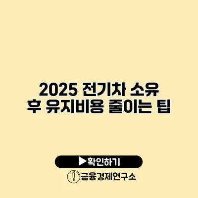 2025 전기차 소유 후 유지비용 줄이는 팁