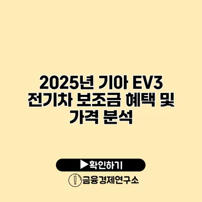 2025년 기아 EV3 전기차 보조금 혜택 및 가격 분석