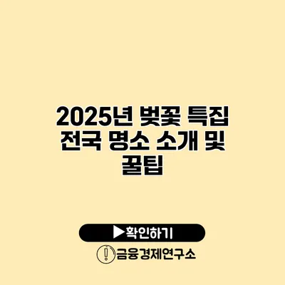 2025년 벚꽃 특집 전국 명소 소개 및 꿀팁