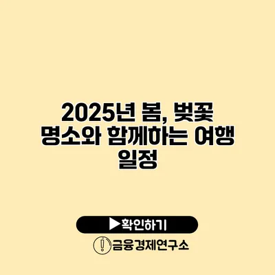 2025년 봄, 벚꽃 명소와 함께하는 여행 일정