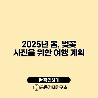 2025년 봄, 벚꽃 사진을 위한 여행 계획