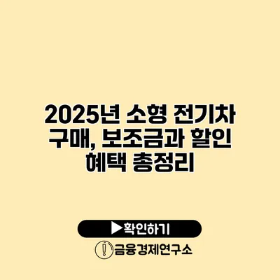 2025년 소형 전기차 구매, 보조금과 할인 혜택 총정리