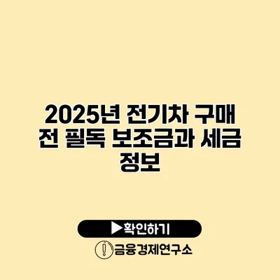 2025년 전기차 구매 전 필독 보조금과 세금 정보