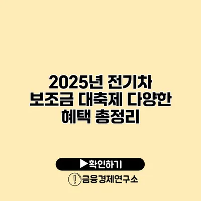 2025년 전기차 보조금 대축제 다양한 혜택 총정리