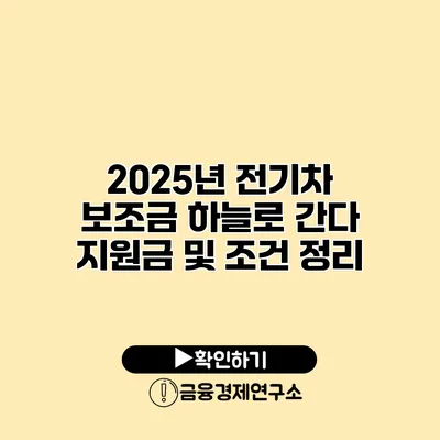 2025년 전기차 보조금 하늘로 간다 지원금 및 조건 정리