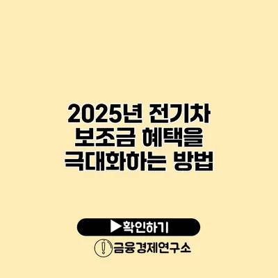 2025년 전기차 보조금 혜택을 극대화하는 방법