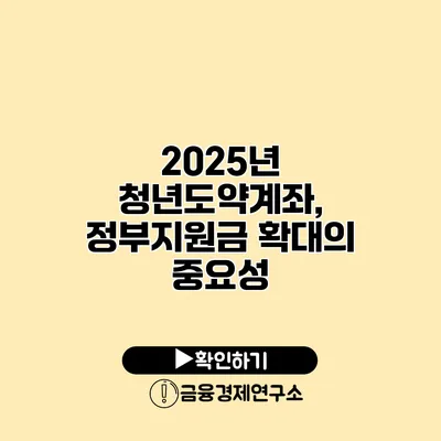 2025년 청년도약계좌, 정부지원금 확대의 중요성